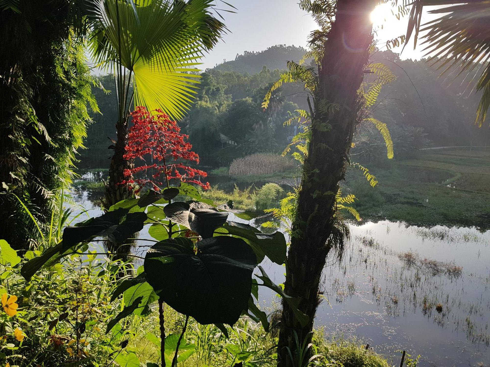 Vu Linh Palm House Homestay - Bungalow Yen Bai Εξωτερικό φωτογραφία