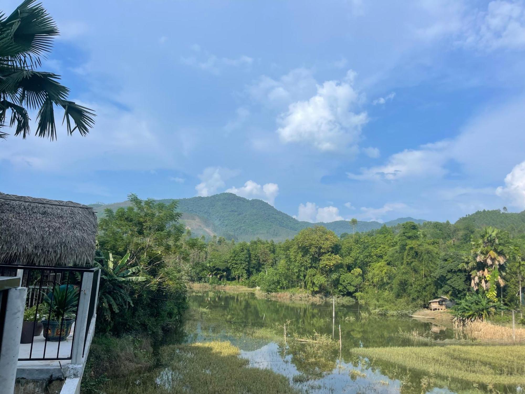 Vu Linh Palm House Homestay - Bungalow Yen Bai Εξωτερικό φωτογραφία